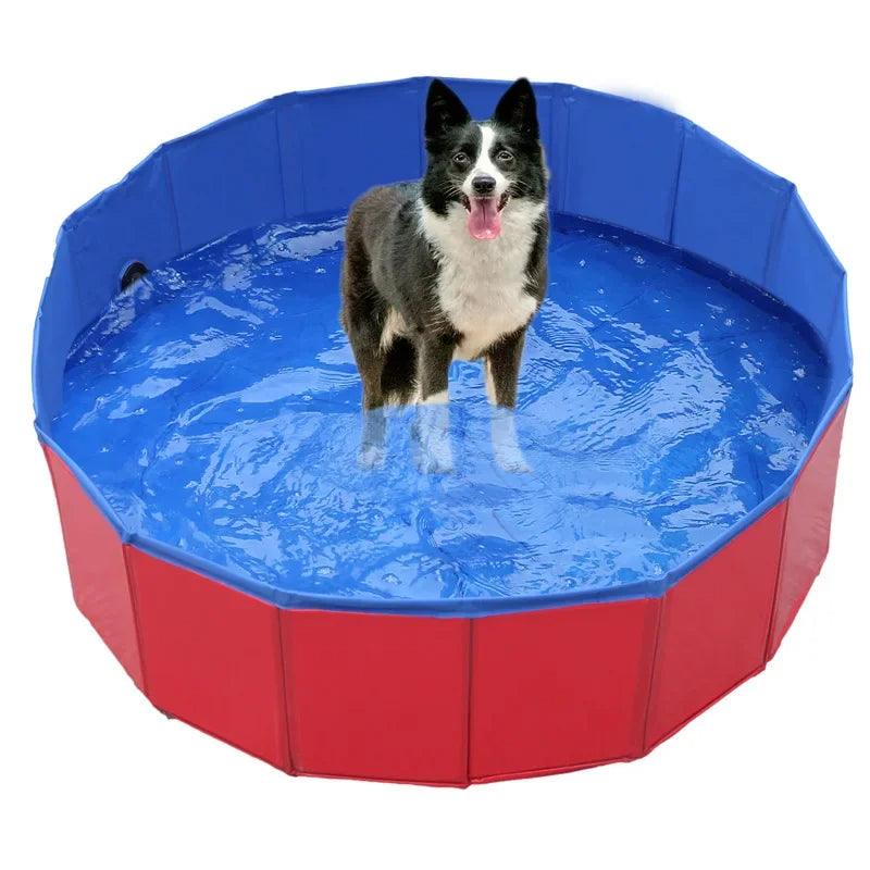 Piscina dobrável para animais de estimação - Easy Pick