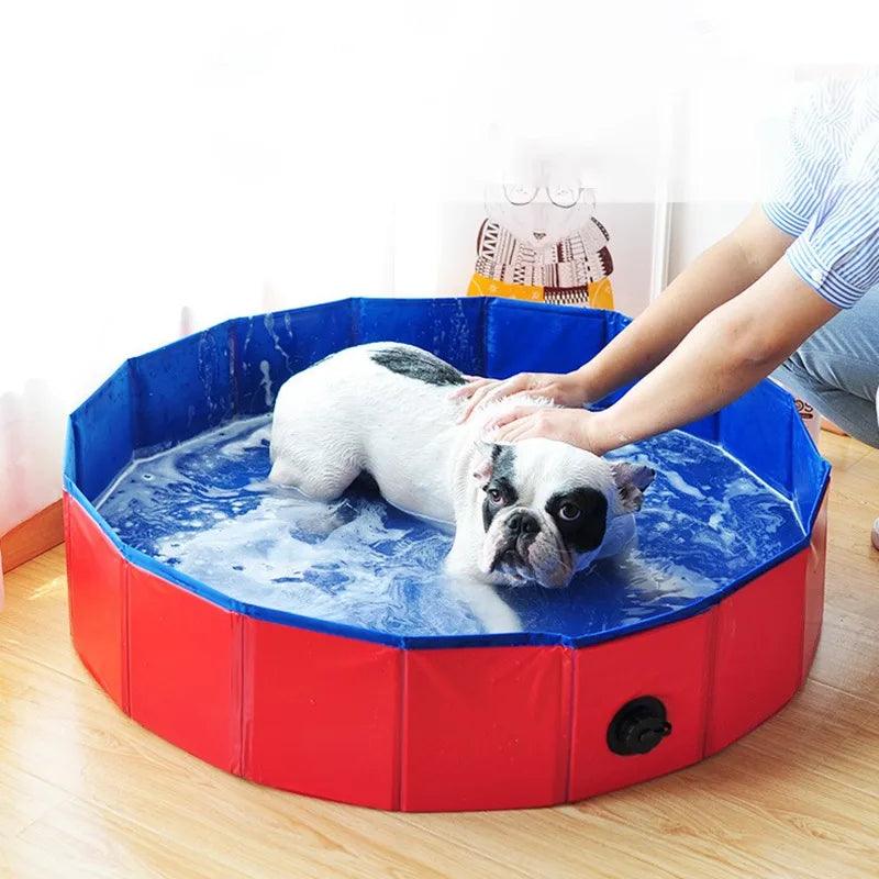 Piscina dobrável para animais de estimação - Easy Pick