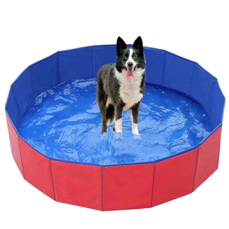 Piscina dobrável para animais de estimação - Easy Pick