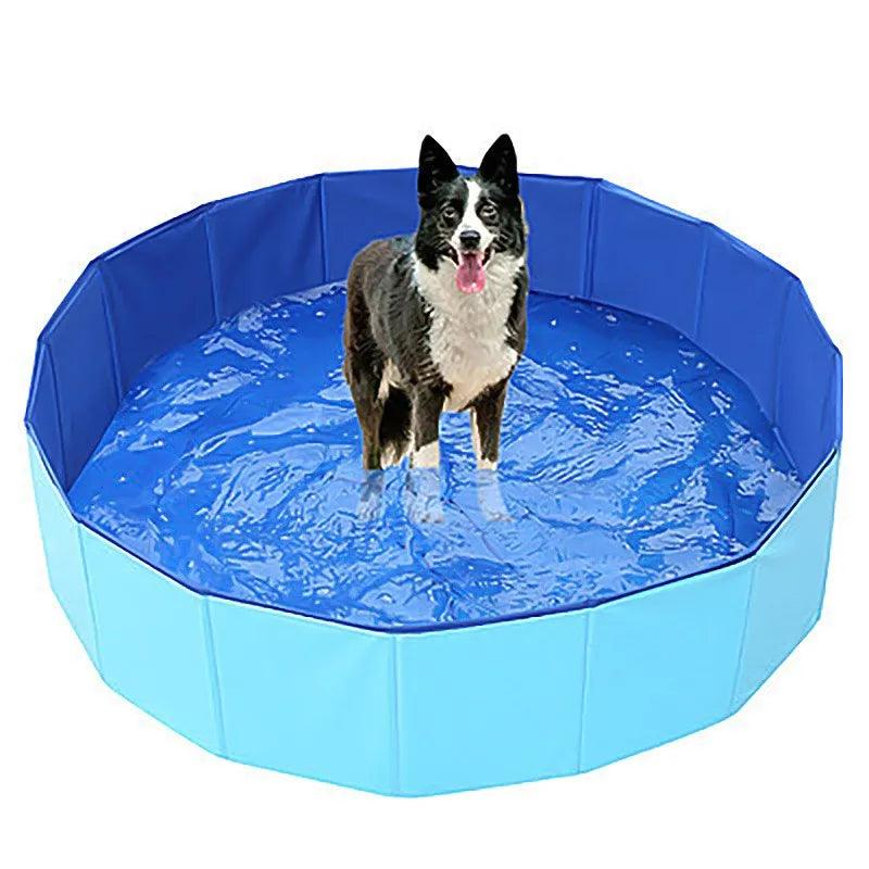 Piscina dobrável para animais de estimação - Easy Pick